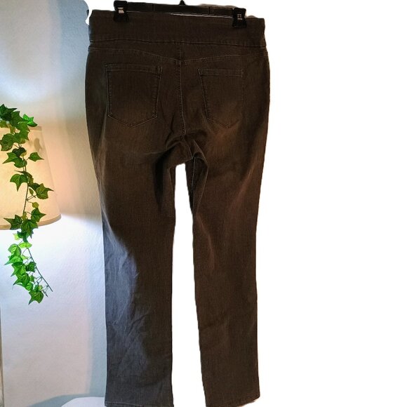 EUC: Gloria Vanderbilt Amanda Sze 18 Gray Straight Leg Pull- On Jeans - Picture 2 of 3